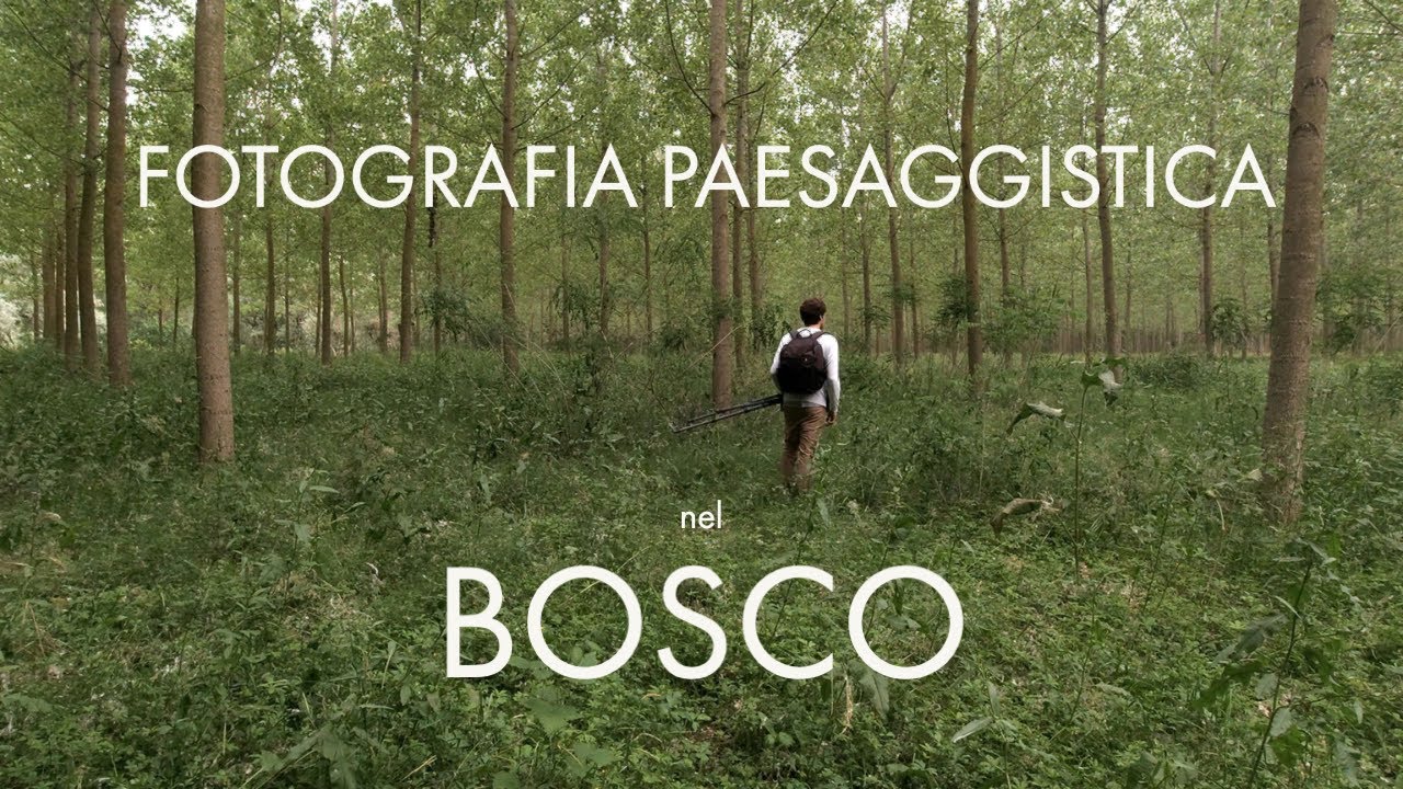 Fotografia nel Bosco - Un PAESAGGIO più intimo
