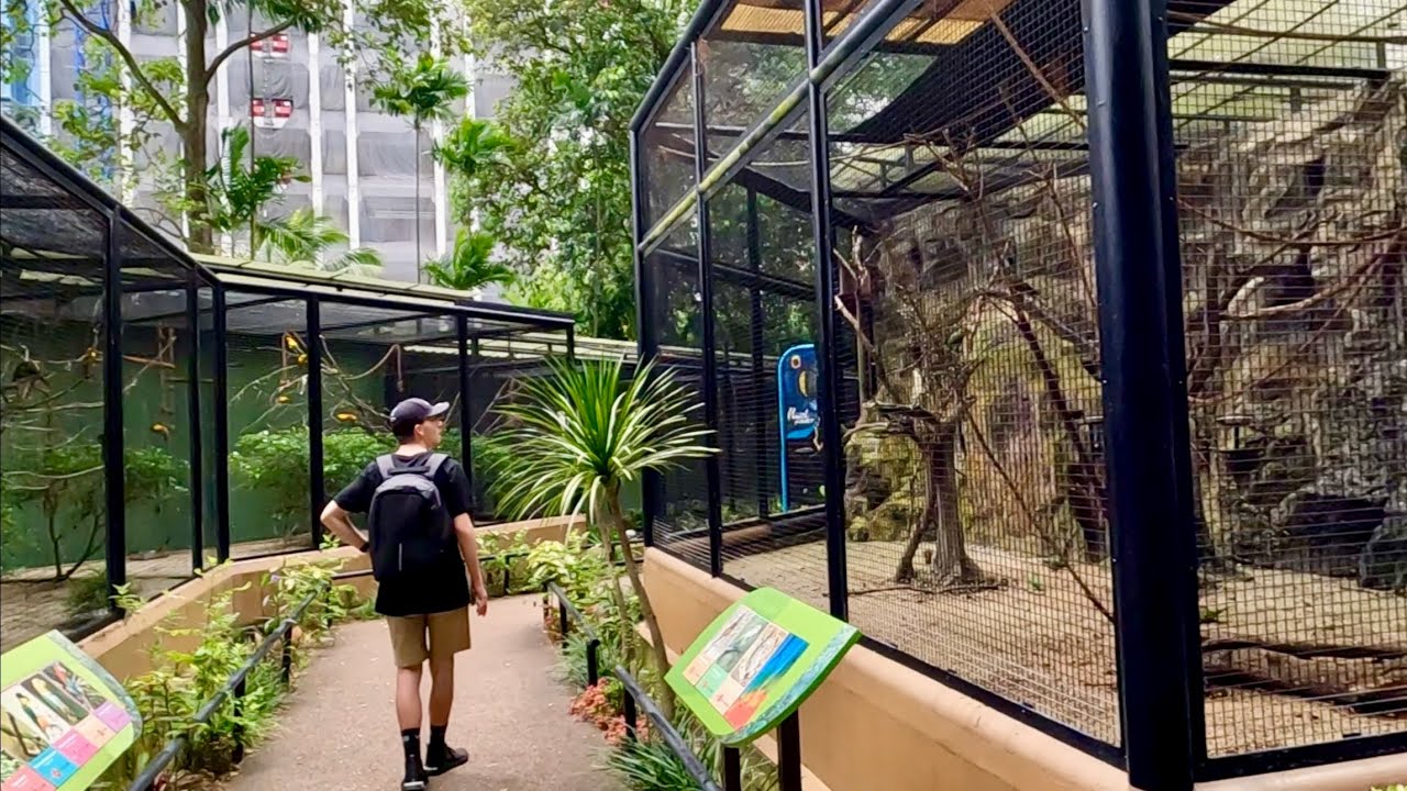 Parrot Paradise Full Tour - Jurong Bird Park Singapore