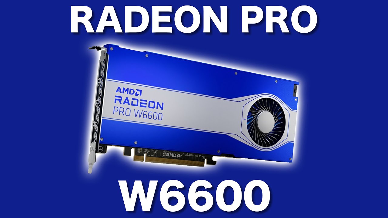 Radeon Pro W6600 Review | Productivity and Gaming Benchmarks