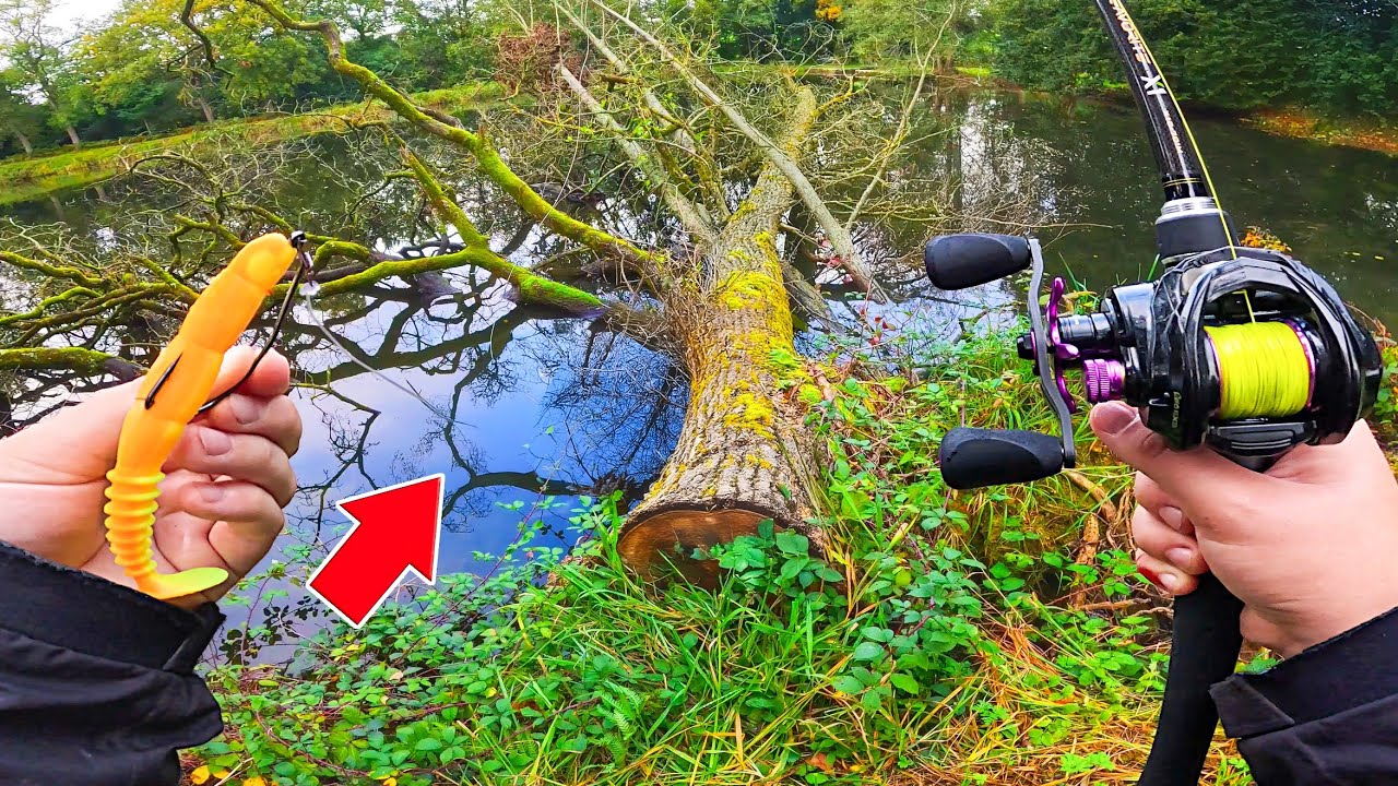 Cet endroit perdu et encombré cache plein de poissons, cette technique de pêche les rend dingues !!