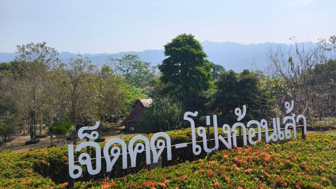 ปั่นไหลๆกับป๋าวี #mtb #mtbdh #mtblife 