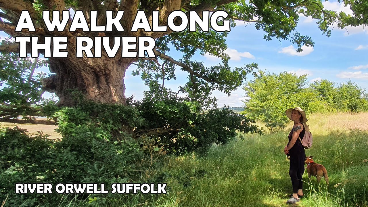 A Walk by the River Orwell Ipswich Suffolk
