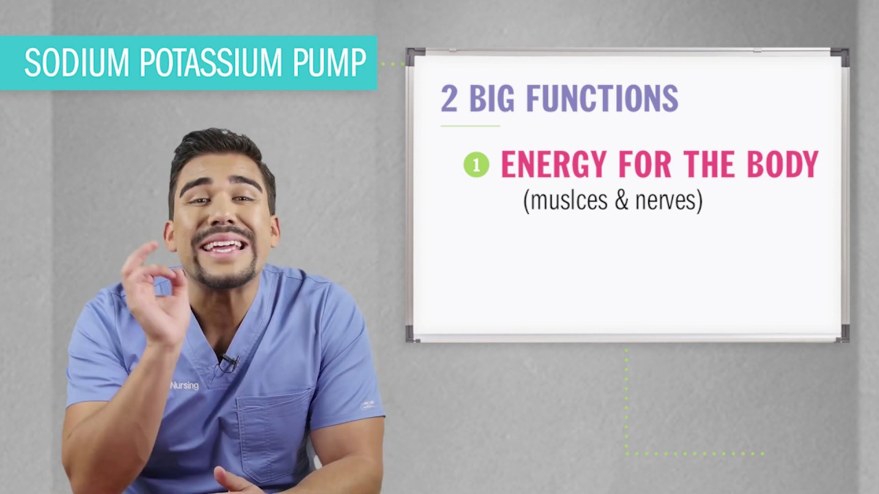 Fluid & Hormones | Sodium Potassium Pump