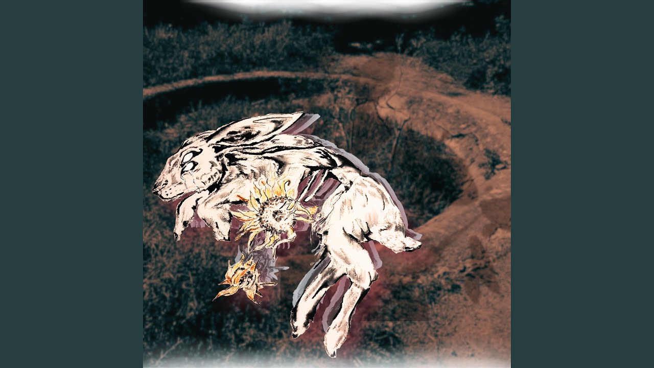 Debris
