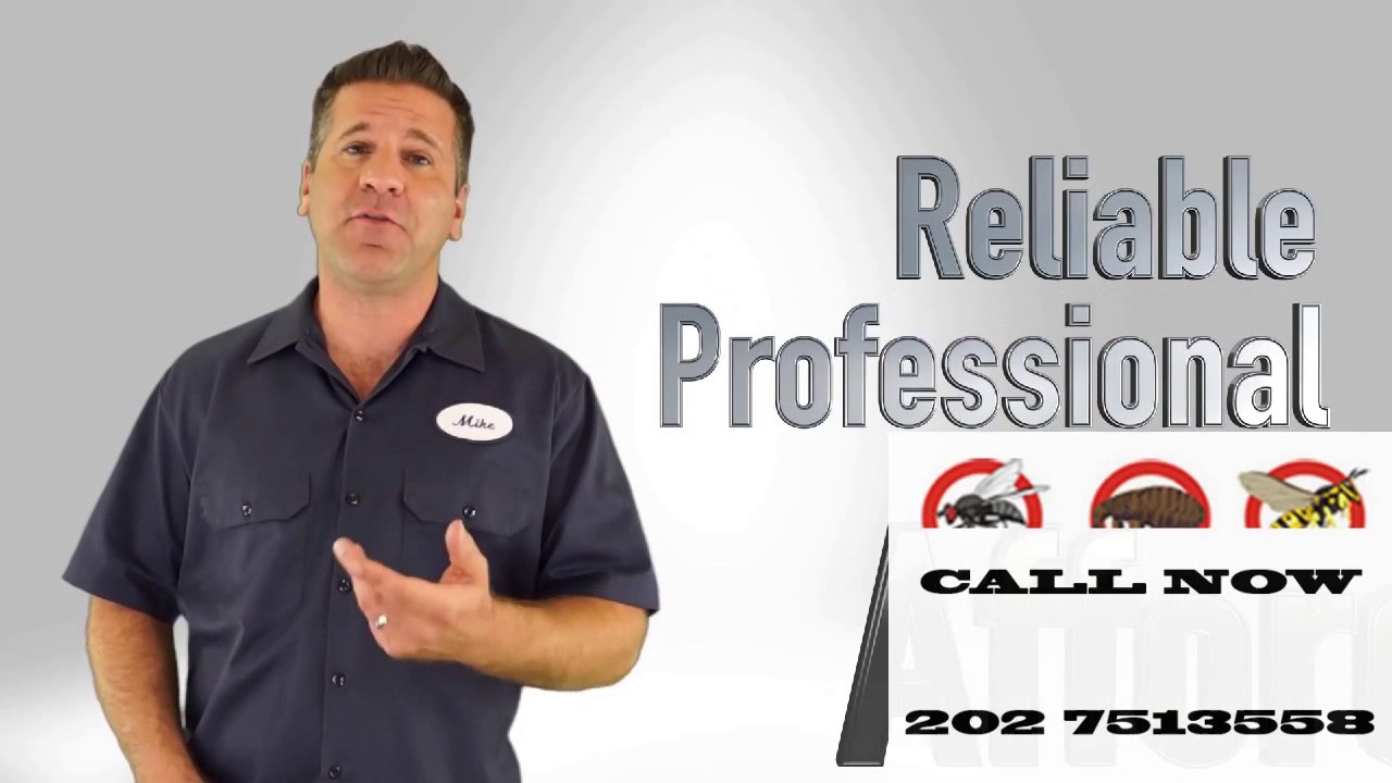 Best Pest Control Near Me