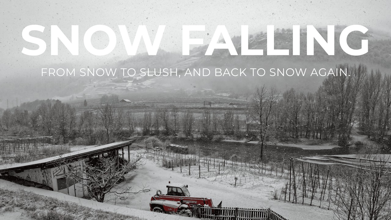 Heavy Snowfall in the Italian Alps | South Tyrol Winter Timelapse