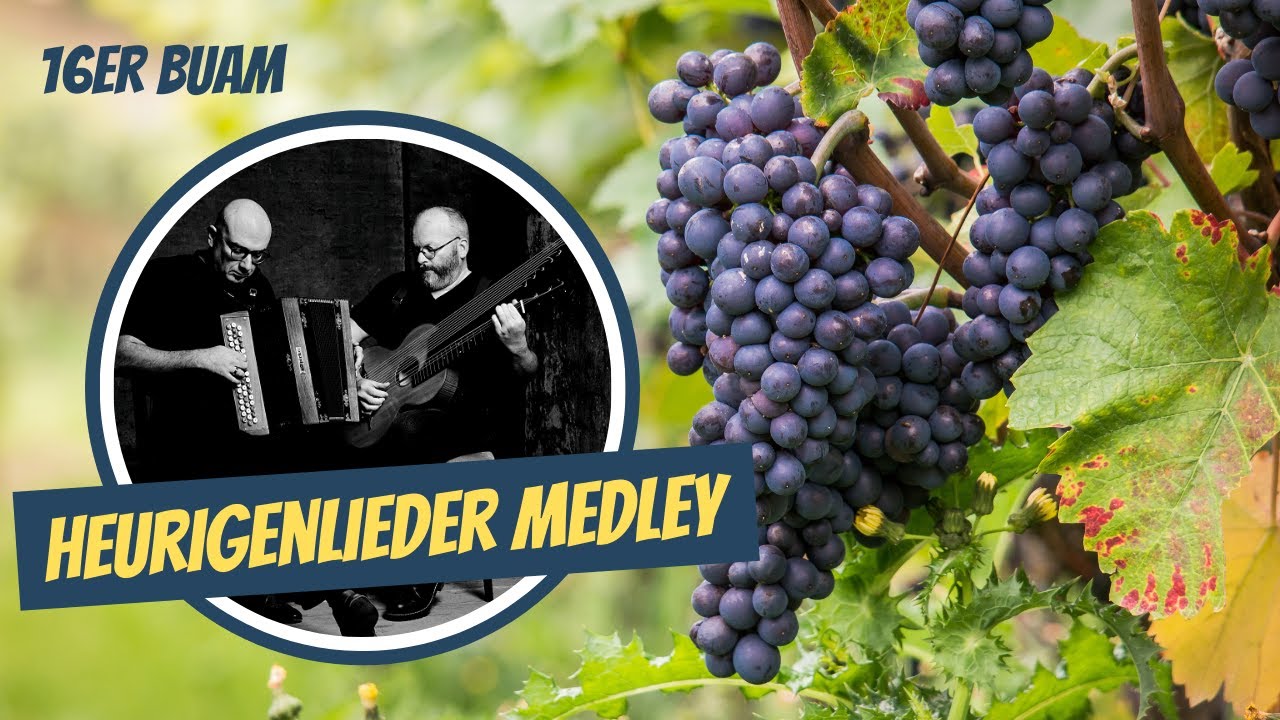 16er Buam / Heurigenlieder Medley