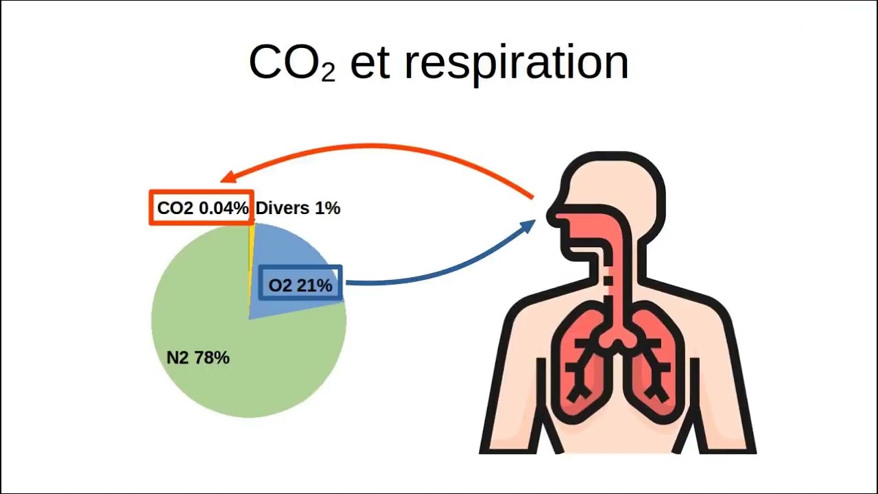 Respiration et CO2