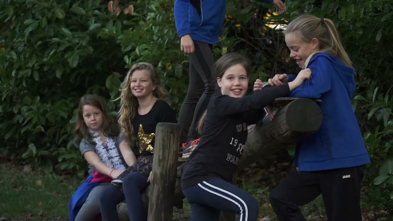 De roerdomp header video