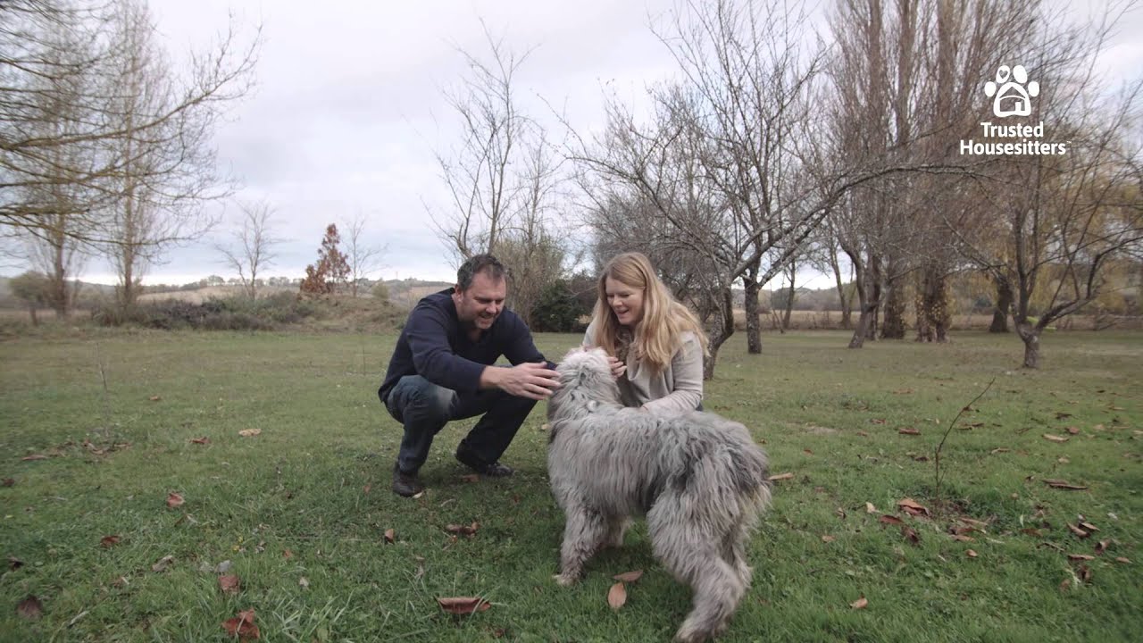 Why House Sitting Works - House Sitters