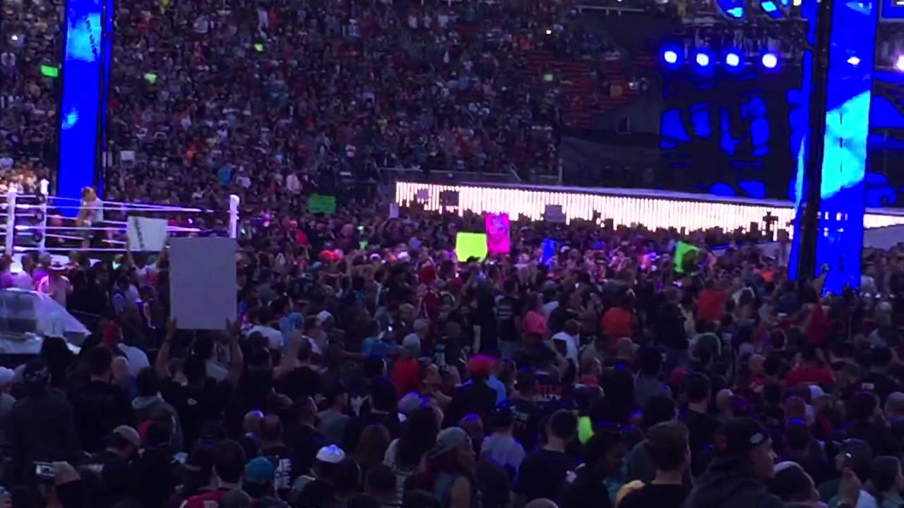 Wrestlemania 31