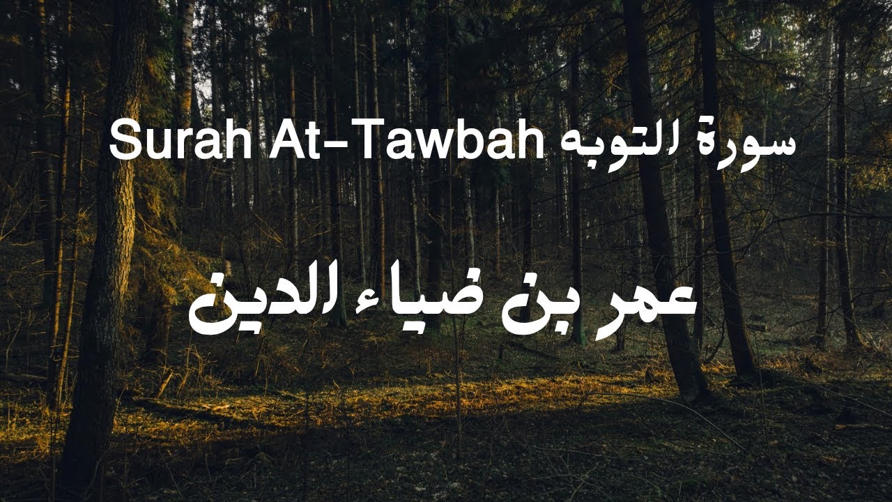 ٩_سورة التوبه للقارئ عمر بن ضياء الدين / Surah At-Tawbah