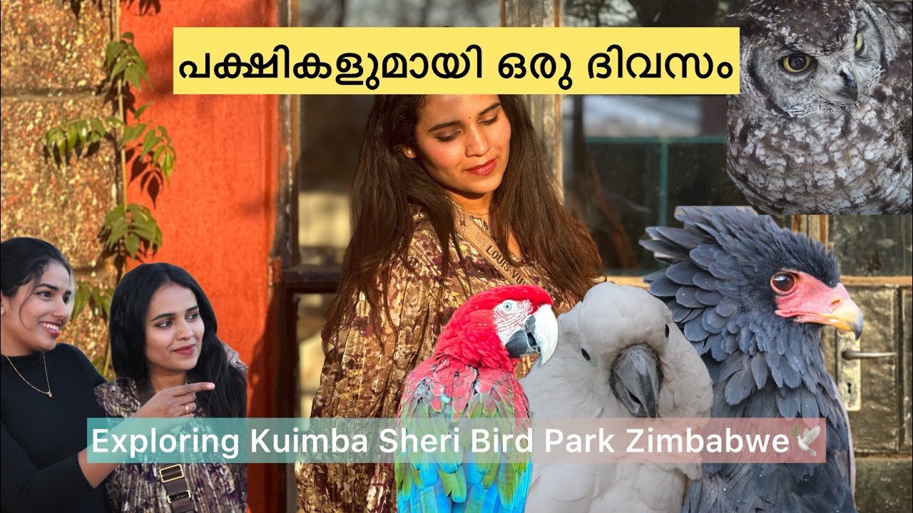 Exploring Kuimba Sheri Birds Park ഇവിടെ വരാതെ പോകരുത്! 😮| Zimbabwe’s Most Beautiful Bird Sanctuary