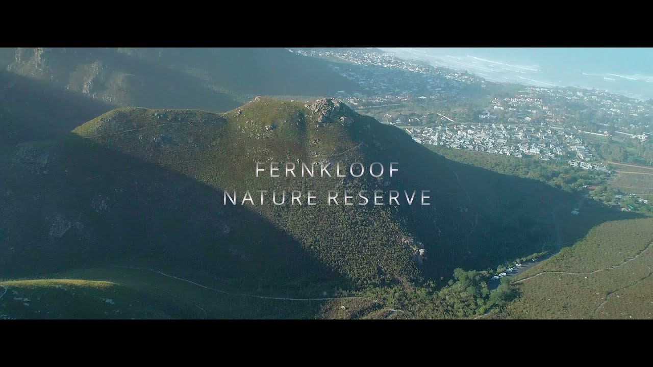 Fernkloof Nature Reserve by drone