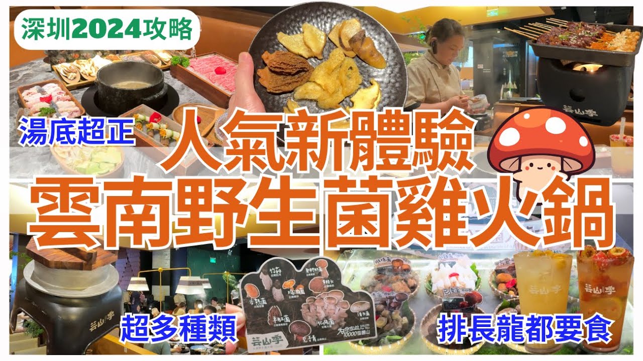 【深圳美食】超級鮮味 💁🏻‍♀️福田雲南野生菌雞湯火鍋｜會展中心美食｜皇庭廣場｜深圳好去处｜芸山季