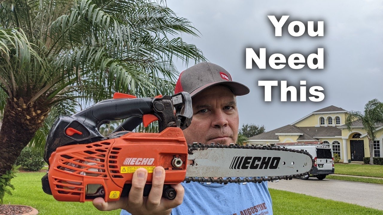 Hurricane Prep :: Palms and Landscape