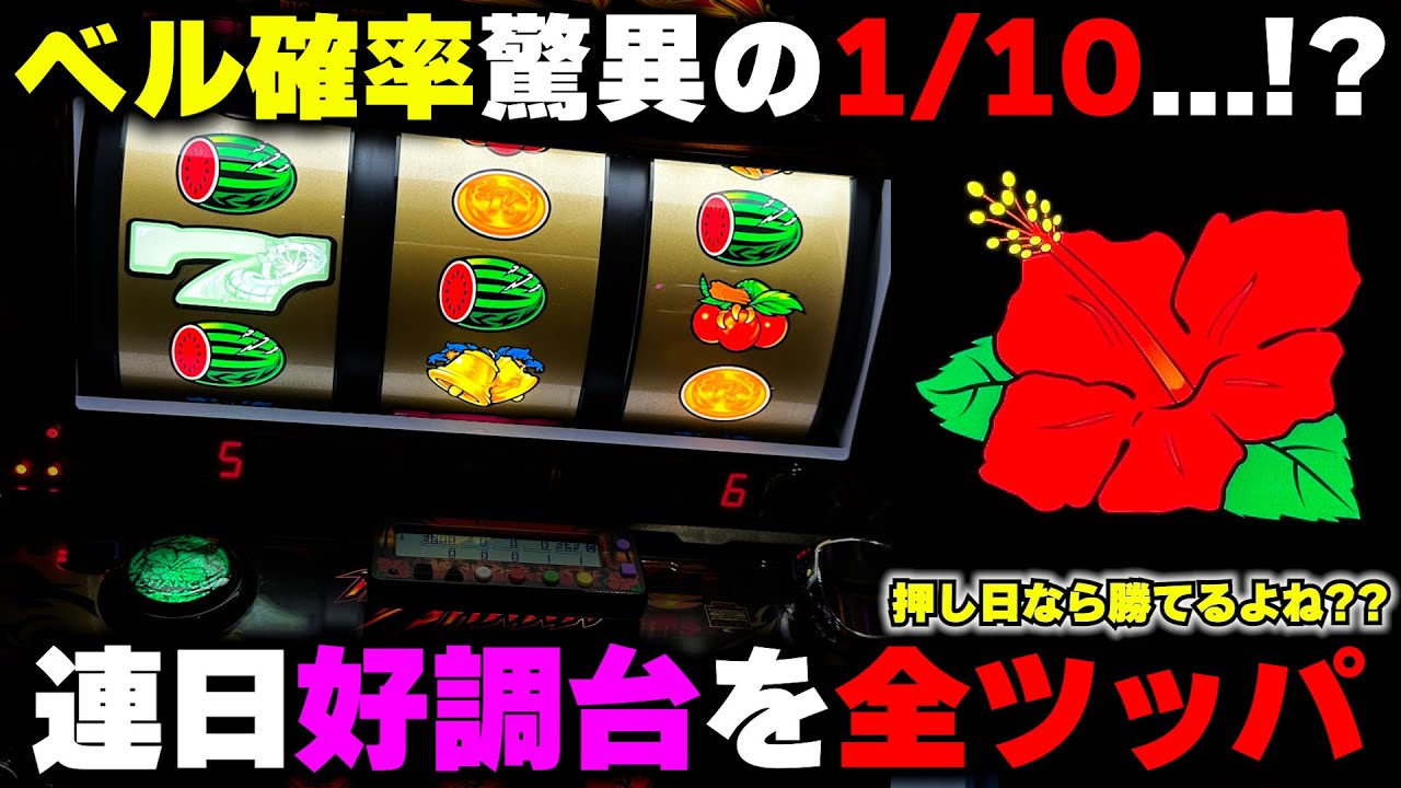 【ハナハナ】ベル確率が極端に悪い台??押し日に前日高設定台を全ツッパで勝てる??【パチンカス養分ユウきのガチ実践#424 】