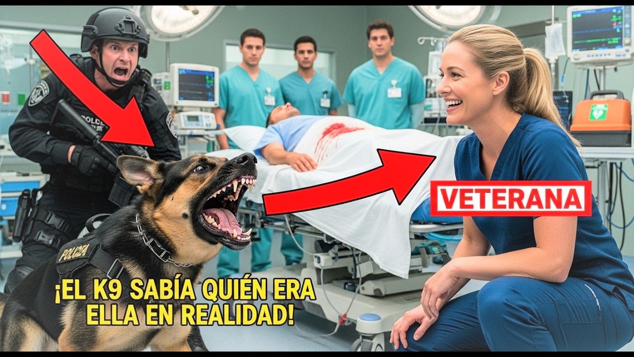 UN PERRO ANTIEXPLOSIVOS FUE AL HOSPITAL, NO POR UNA ALERTA, SINO POR UNA ENFERMERA NUEVA