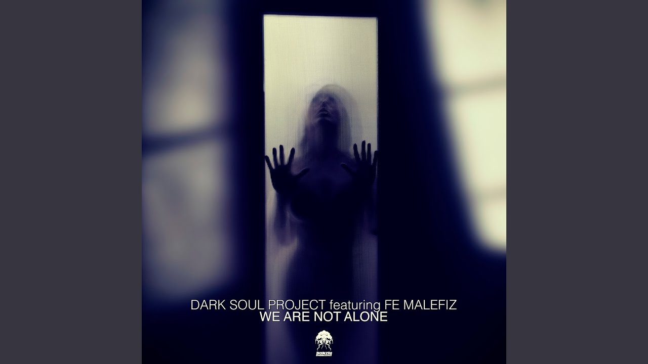 We Are Not Alone (Nico Parisi Remix) feat. Fe Malefiz