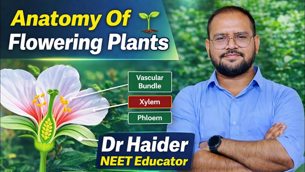 L-3 Anatomyof Flowering Plants 🪴#physics  #neetexam #neet2026 #biology class12