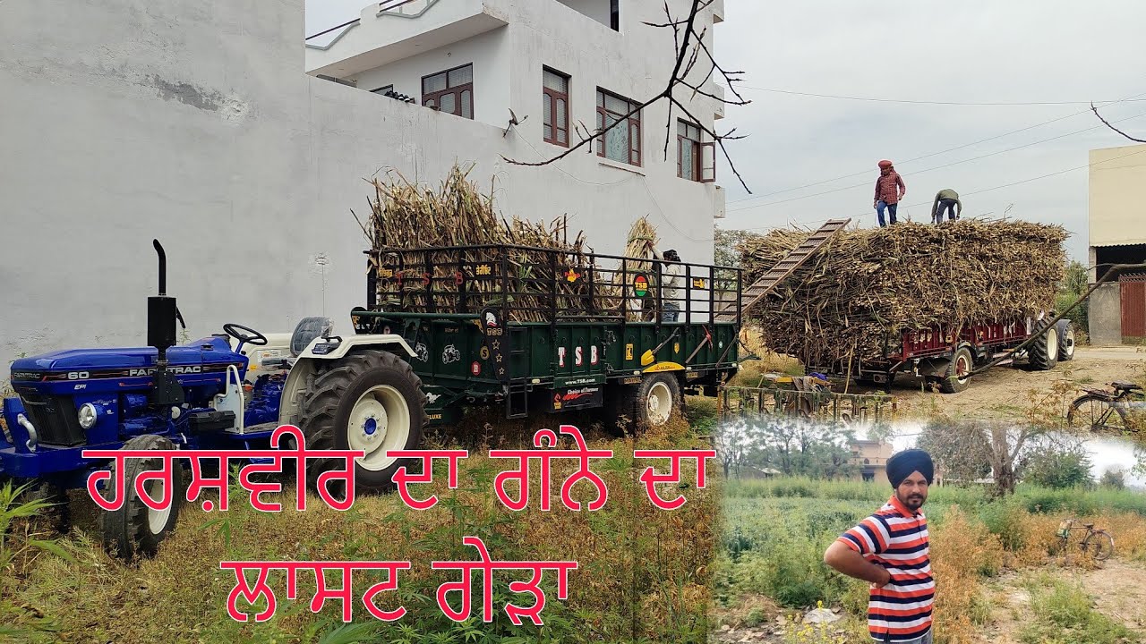 ਹਰਸ਼ਵੀਰ ਦਾ ਗੰਨੇ ਦਾ ਲਾਸਟ ਗੇੜਾ/ਮੈਂਨੂੰ ਹੀ ਸਾਭਣਾ ਪਉ ਹਰਸ਼ਵੀਰ ਦਾ ਟਰੈਕਟਰ/@Bindermahal 