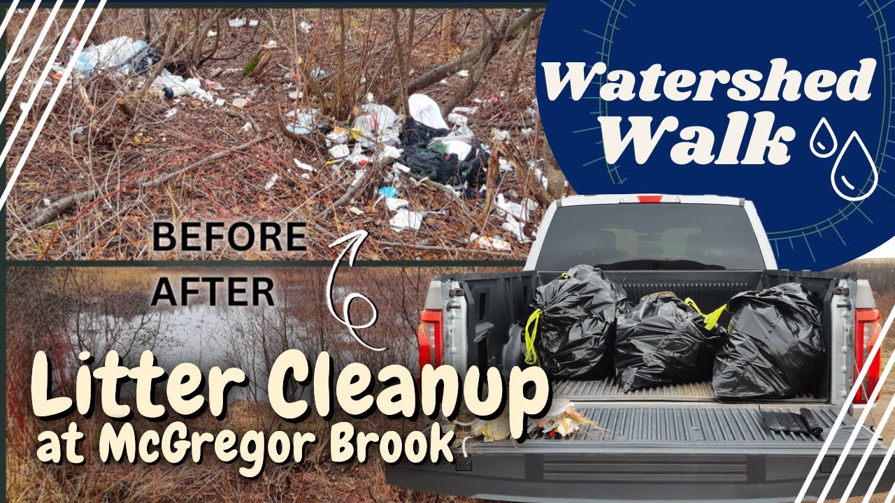 Litter Cleanup at McGregor Brook - Watershed Walk