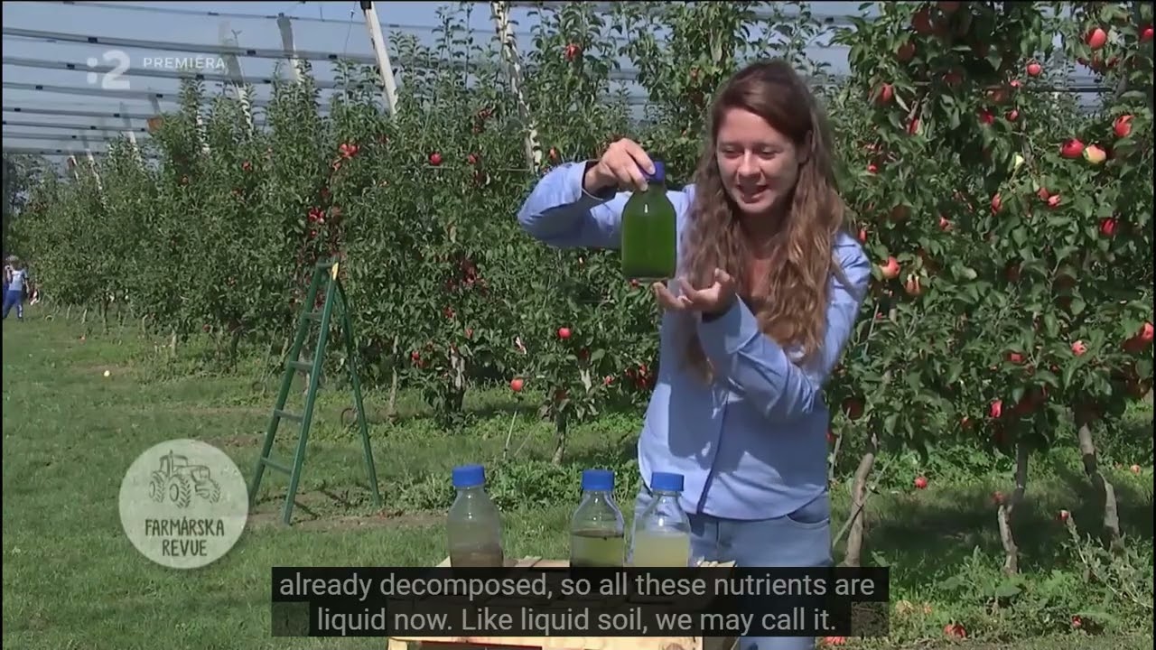 Biostimulants from eco-bioleaching of minerals (ENG)