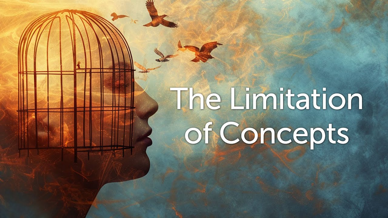 The Limitation of Concepts