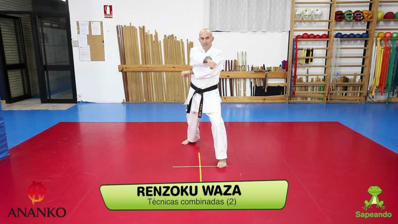 Renzoku Waza 2 - Karate-do