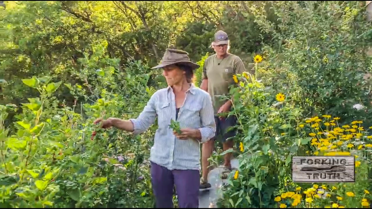 Sustainability & Farm to Table Show | #15 Off-Grid Sustainably