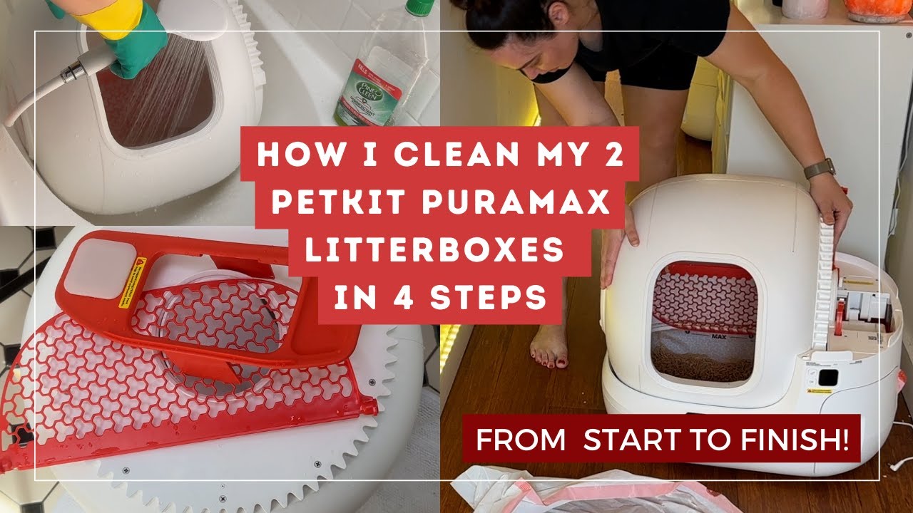 HOW I CLEAN MY PETKIT PURA MAX FROM START TO FINISH | Samantha Rose King