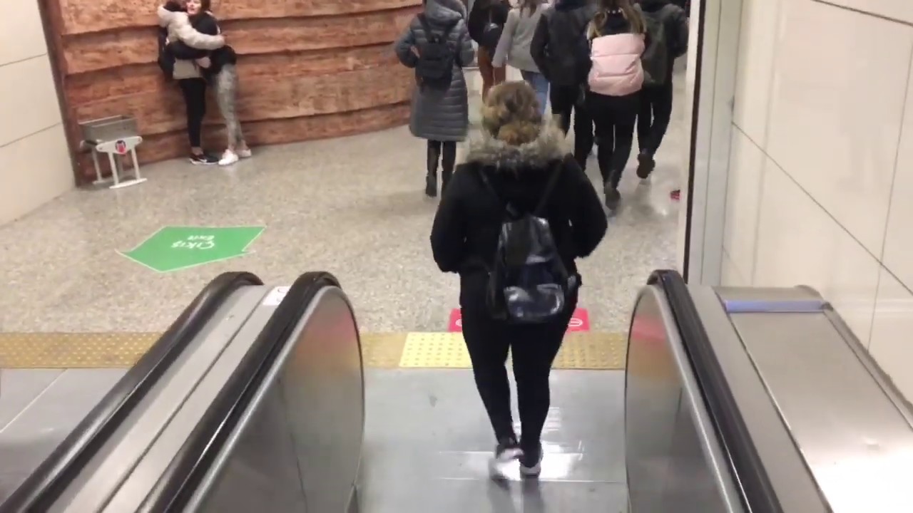 Apple Store Zorlu Center | Metro | Istanbul | Turkey | Complete Guide