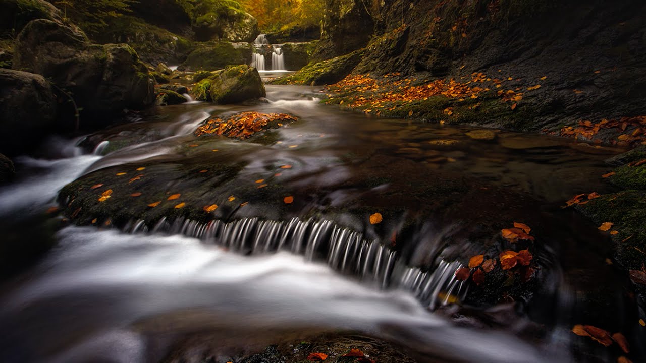 IX Concurso de fotografía 