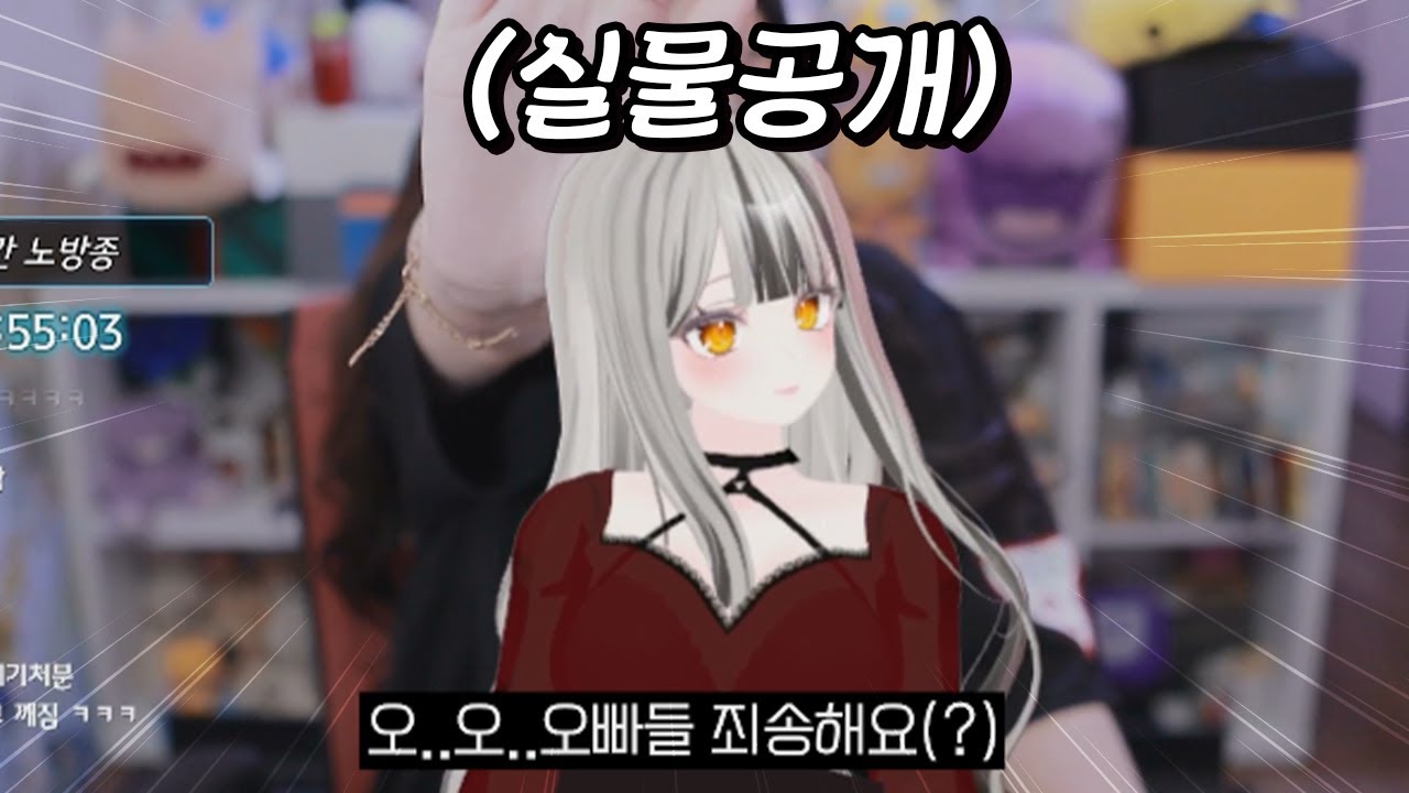 트위치 버튜버 대형 방송사고 ㄷㄷ;;;