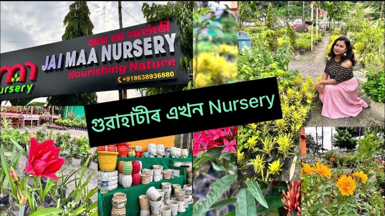 গুৱাহাটীৰ এখন ফুলৰ বাগিচা🪴॥Plant Nursery in Guwahati ||
