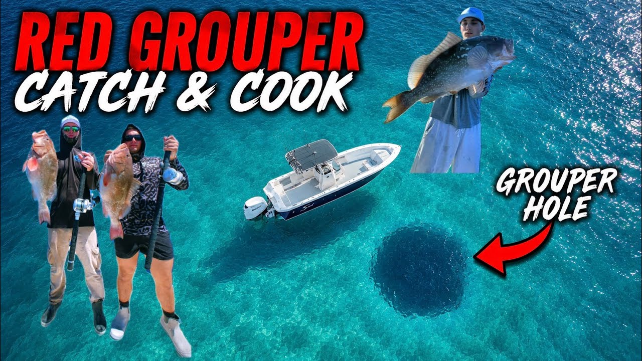 Red Grouper Mayhem Offshore {Catch & Cook}
