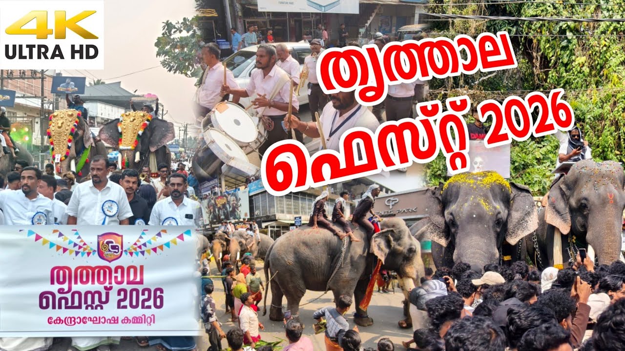 തകർത്താടി 🔥Thrithala Nercha 2026 | Thrithala Fest 2026 #thrithala_nercha_2026