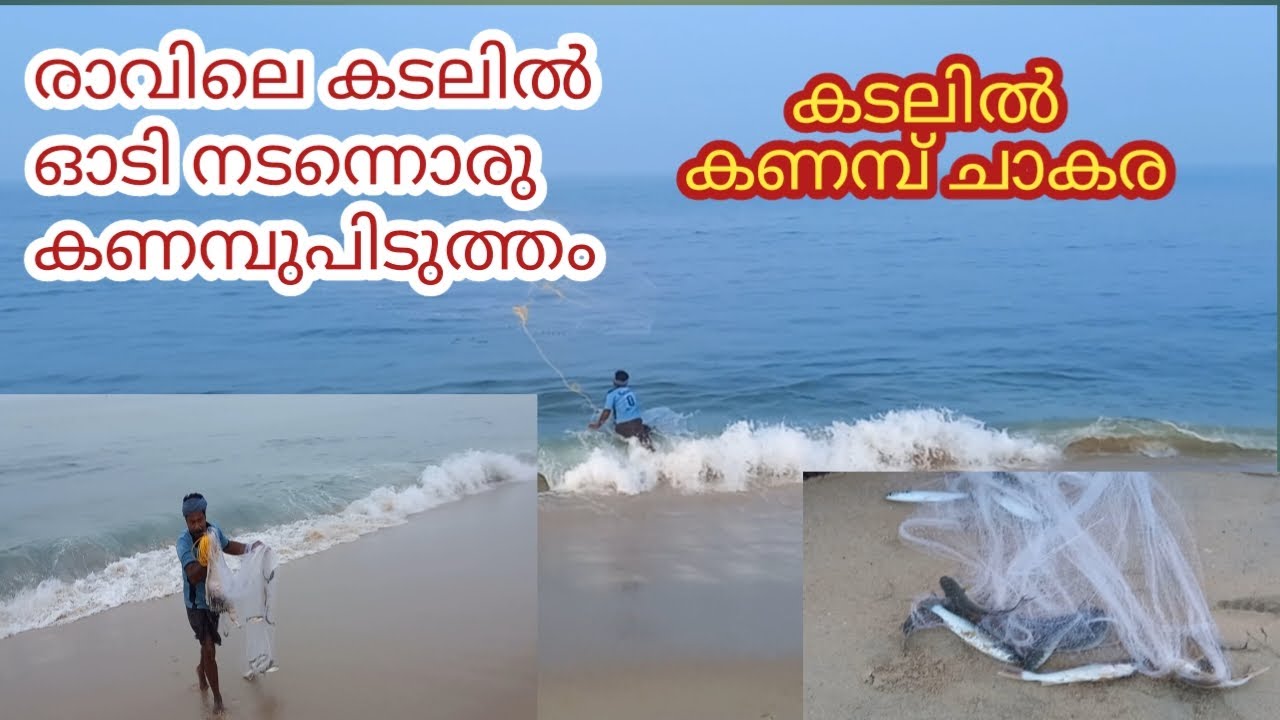 കടലിൽ വല വീശി കണമ്പ്‌ പിടുത്തം #fishing Sea fishing kerala, traditional net fishing, village fishing