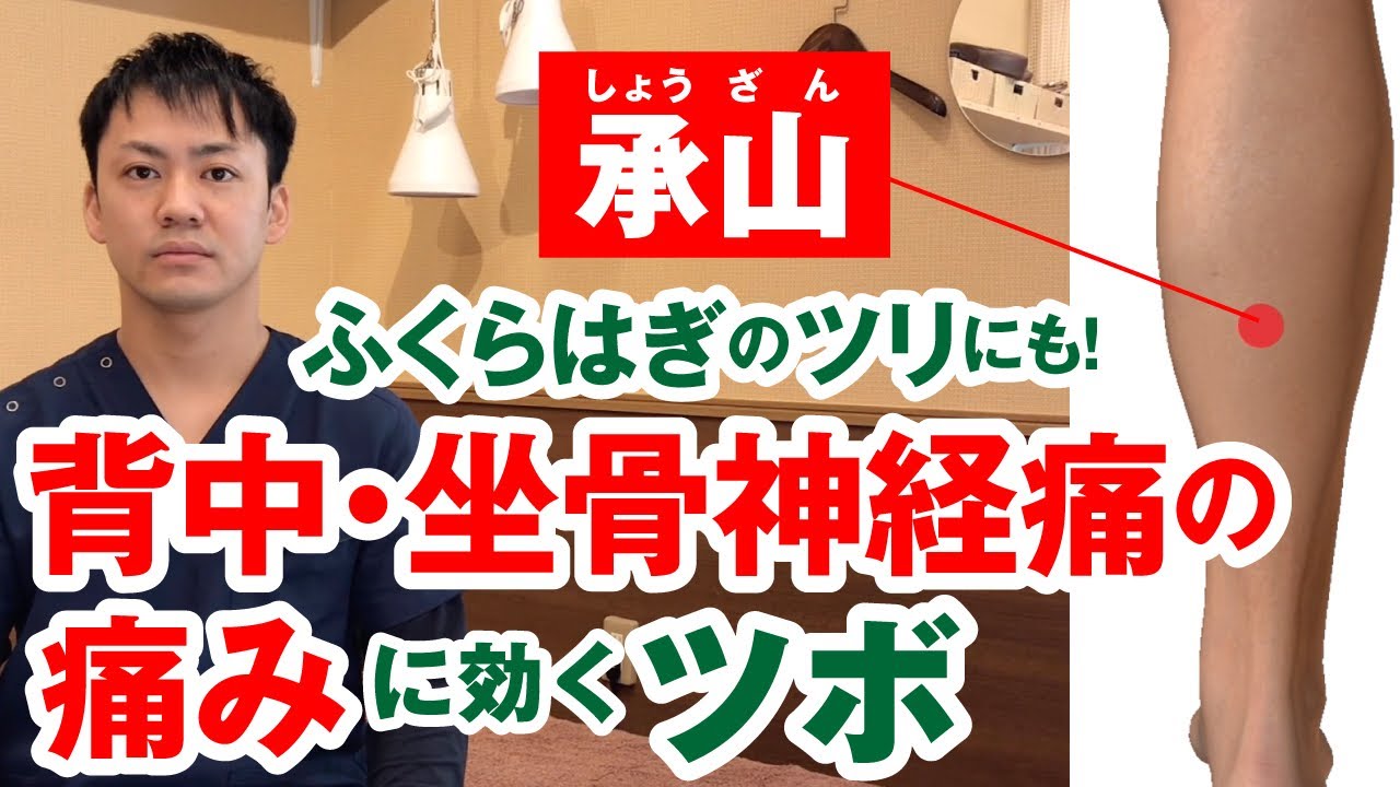坐骨神経痛に〜承山〜