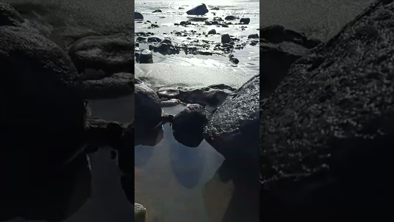 Black sand beach - Raglan 