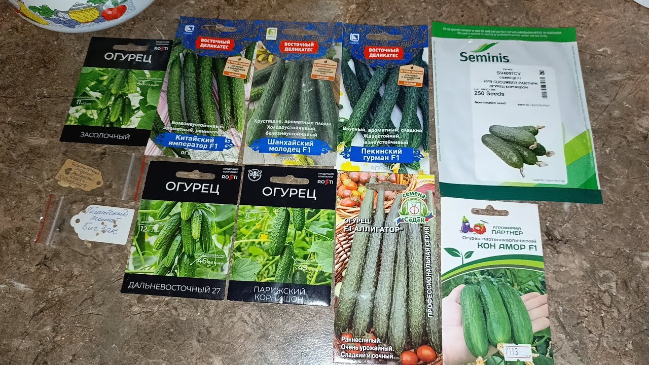 Огурцы🥒сезон🥒2026 #обзор #город61 #огурцы2026 #семенаогурцовобзор #китайскиеогурцы2026 #обзорсемян 