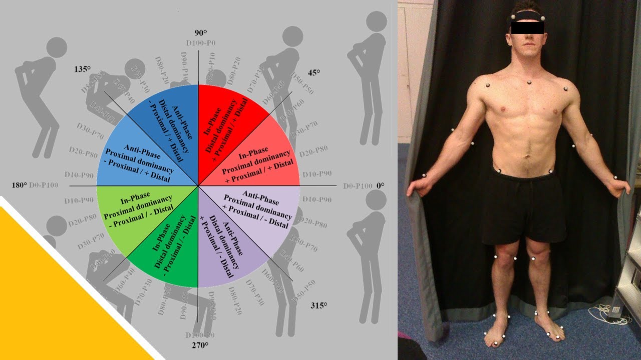 Countermovement Jump Coordination and Control