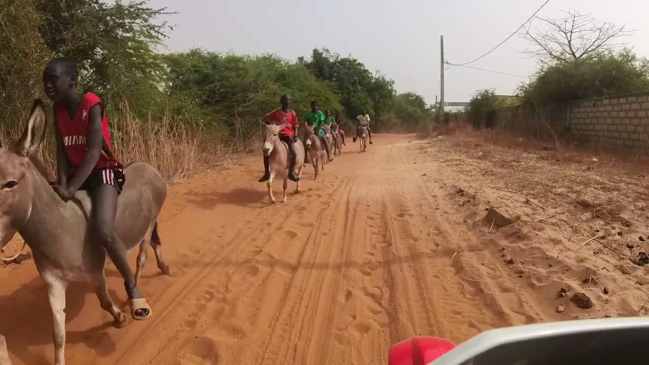 Balade dans la lagune de Somone au Sénégal