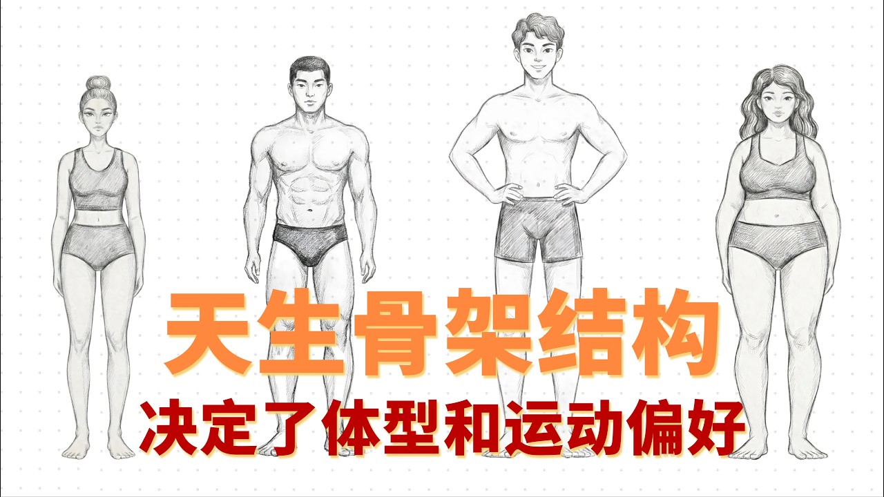 天生的骨架结构，决定了你的体型和运动表现偏好丨公众号同名