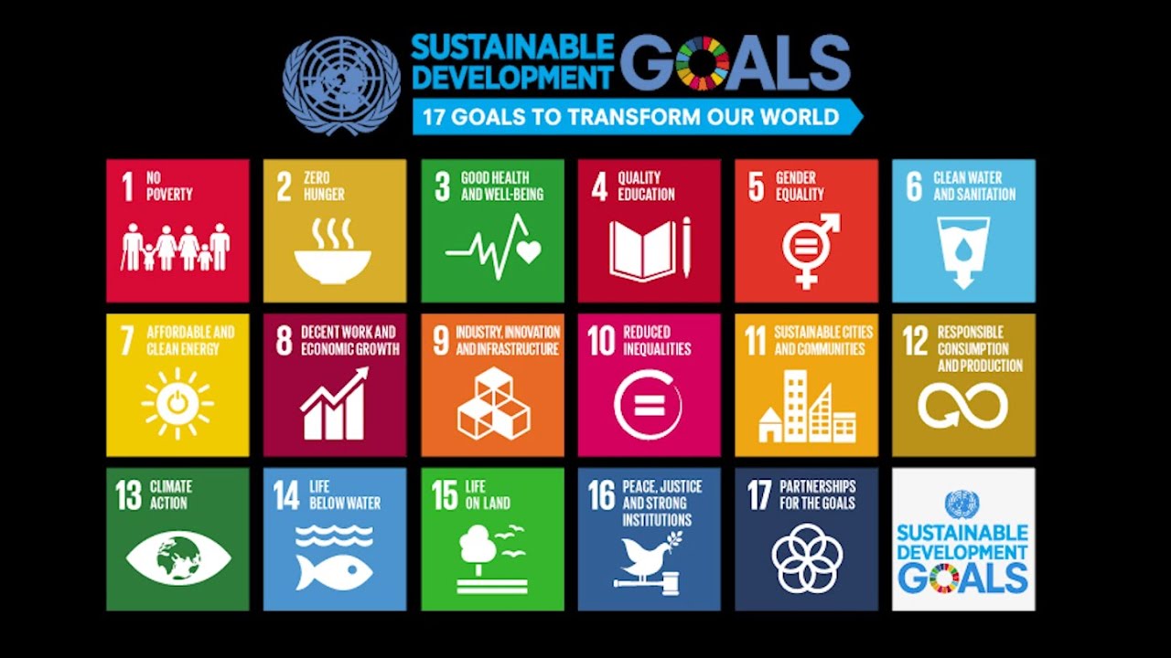 60'ish Seconds of Philanthropy - Why are the Sustainable Development Goals Important?
