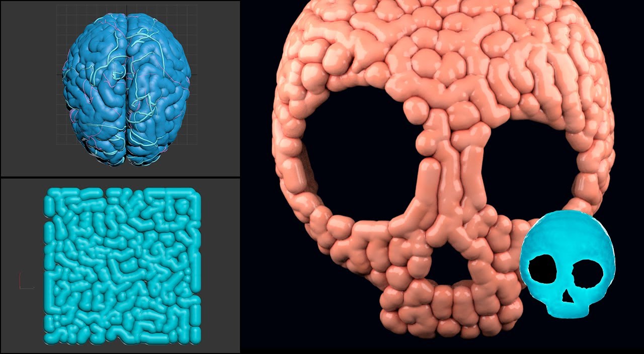 Growing a Brain Pattern [Particle Flow + Frost Tutorial]