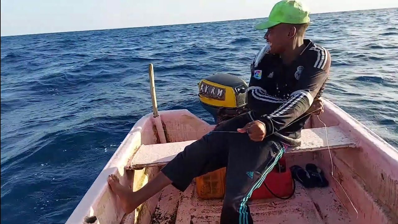 TUNA FISH FOR HANDLINE FISHING VIDEO 