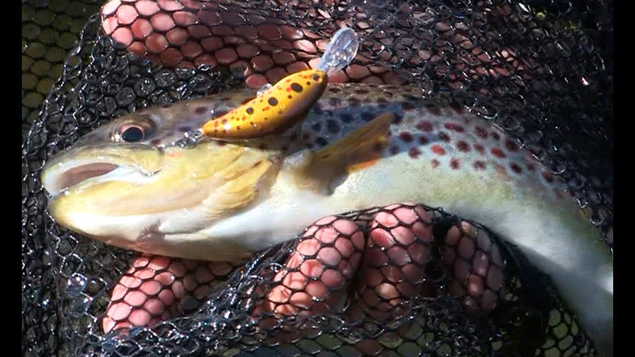 Rapture Lures - Carcoforo, paradiso delle trote parte2 - Hardbait