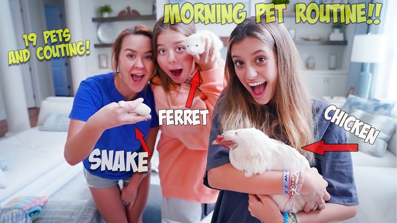 Morning Routine with Nineteen pets...