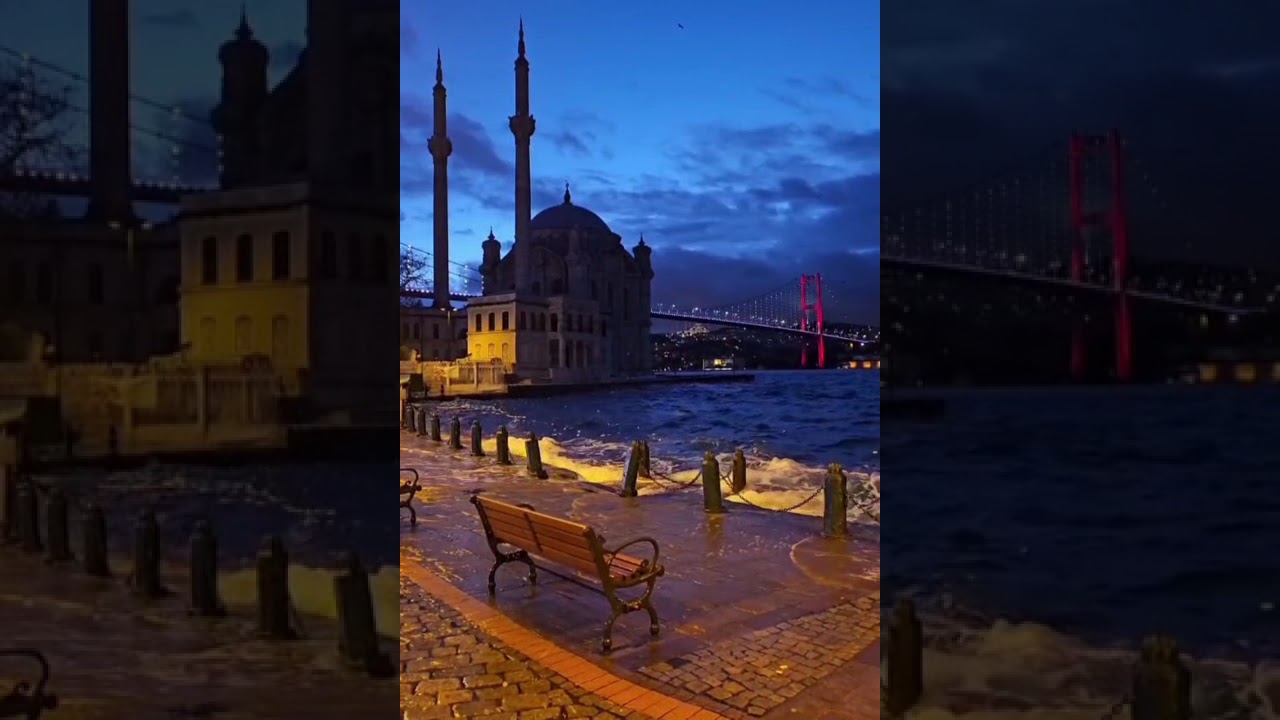 Musallatla ilgili İlginc Bilgiler#gizemlervebilinmeyenler #gizlidetaylar 